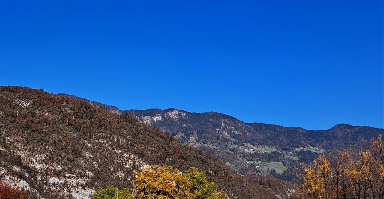 Apartmaji Alpski Cvet - Hisa Gorenc Bohinj Dış mekan fotoğraf