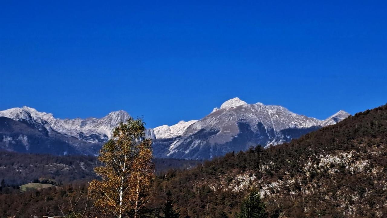 Apartmaji Alpski Cvet - Hisa Gorenc Bohinj Dış mekan fotoğraf
