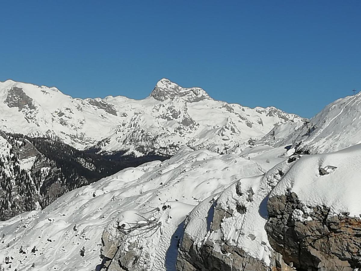 Apartmaji Alpski Cvet - Hisa Gorenc Bohinj Dış mekan fotoğraf