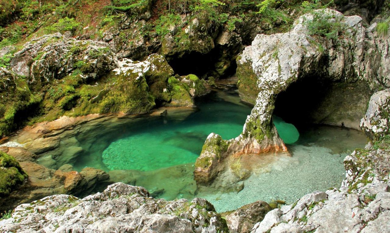 Apartmaji Alpski Cvet - Hisa Gorenc Bohinj Dış mekan fotoğraf