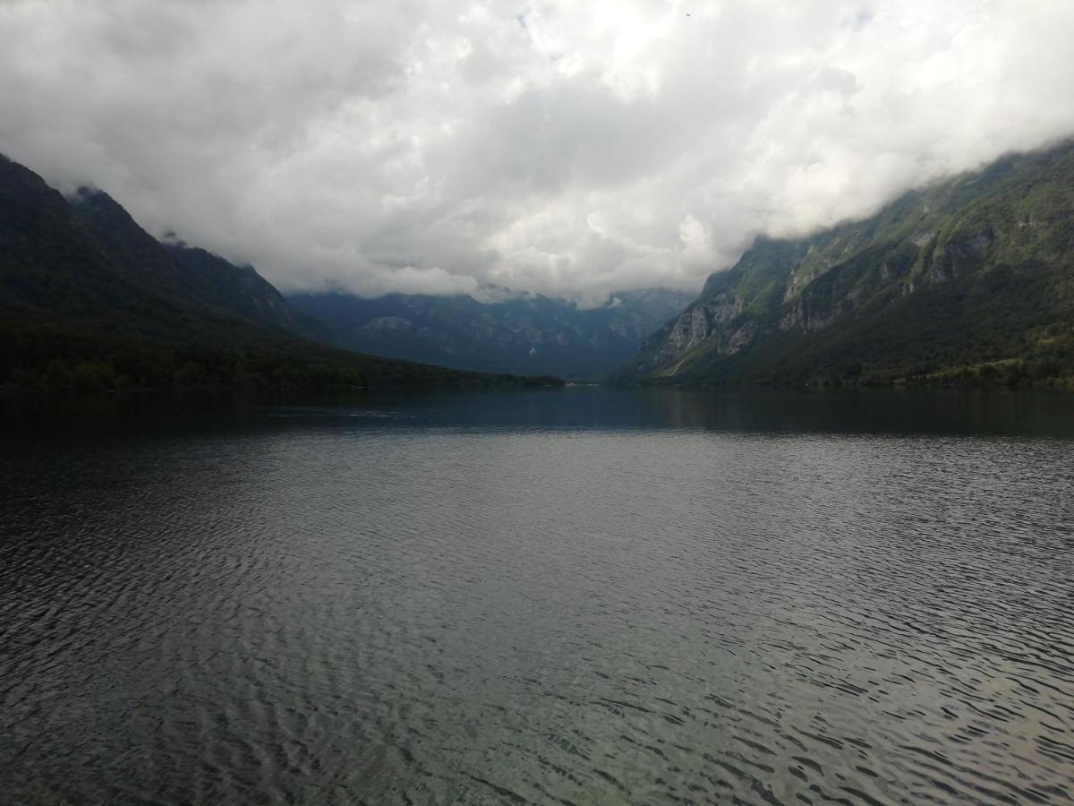 Apartmaji Alpski Cvet - Hisa Gorenc Bohinj Dış mekan fotoğraf