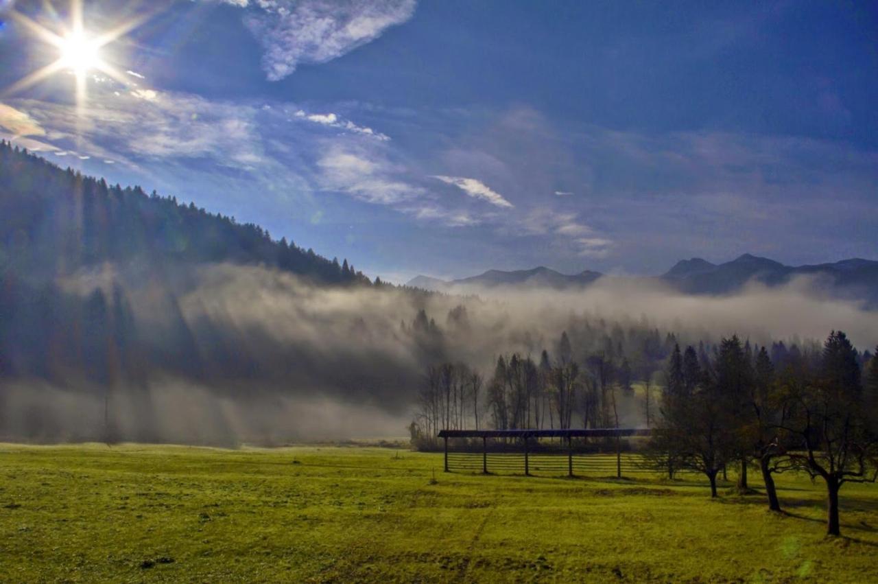 Apartmaji Alpski Cvet - Hisa Gorenc Bohinj Dış mekan fotoğraf