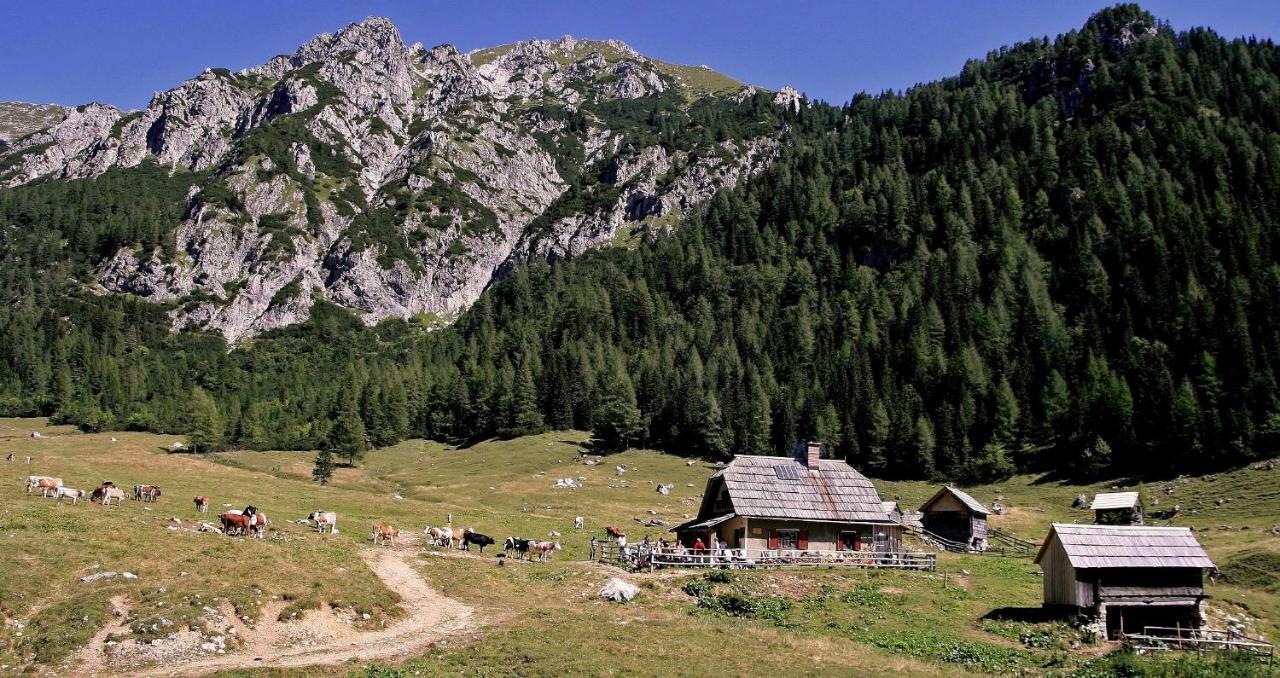 Apartmaji Alpski Cvet - Hisa Gorenc Bohinj Dış mekan fotoğraf