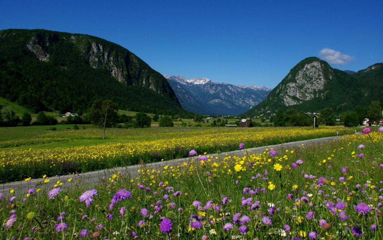 Apartmaji Alpski Cvet - Hisa Gorenc Bohinj Dış mekan fotoğraf
