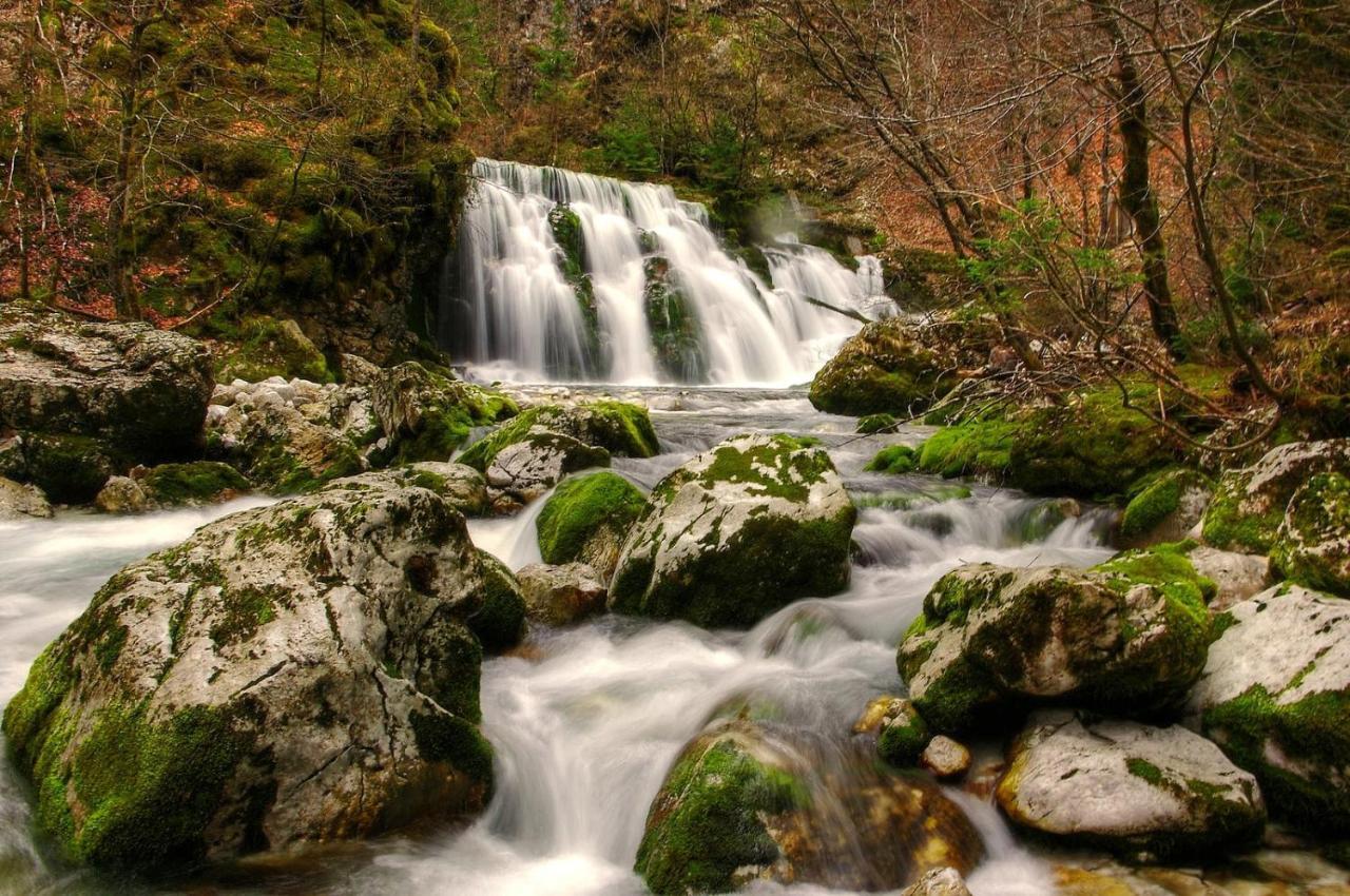 Apartmaji Alpski Cvet - Hisa Gorenc Bohinj Dış mekan fotoğraf