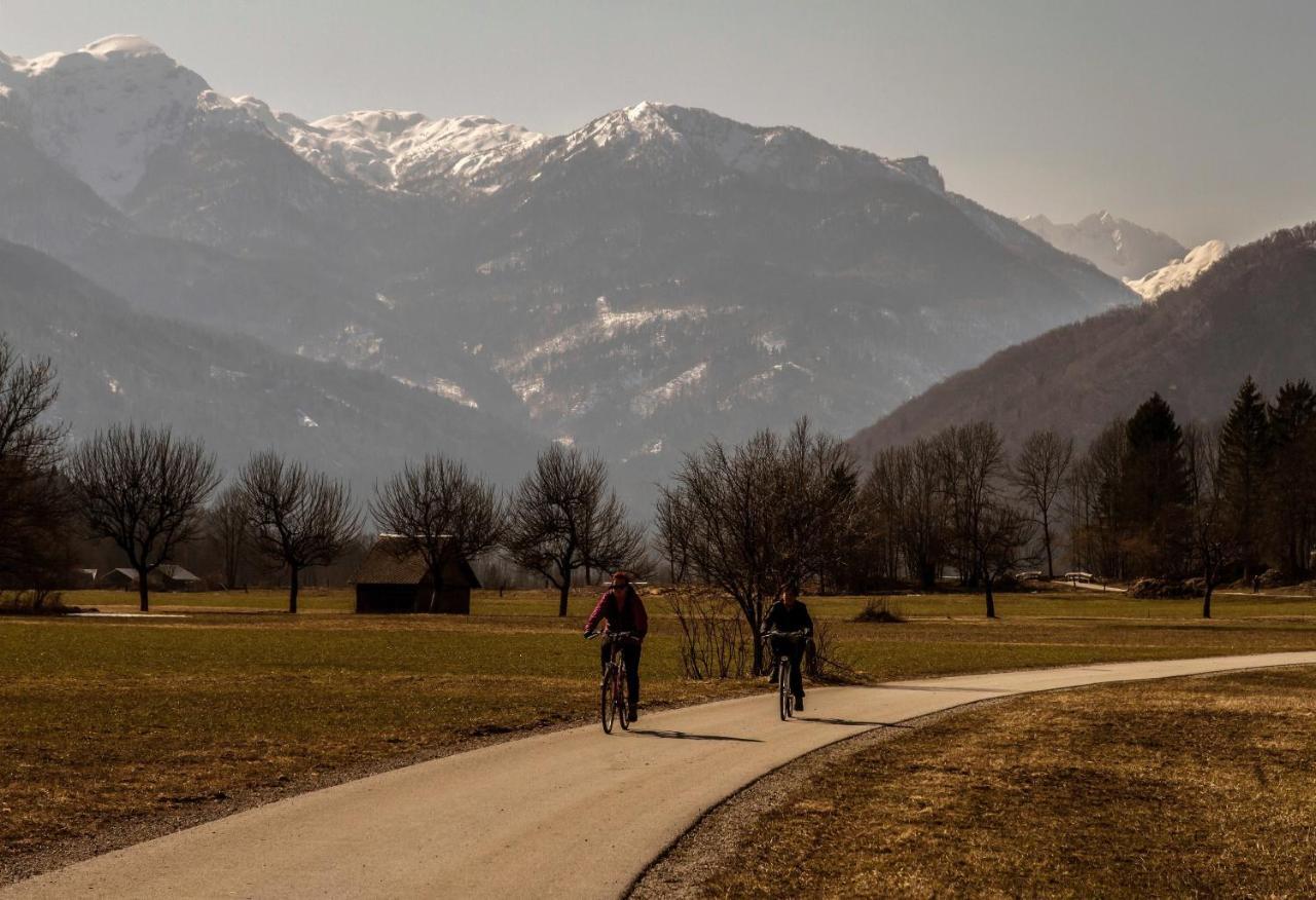 Apartmaji Alpski Cvet - Hisa Gorenc Bohinj Dış mekan fotoğraf