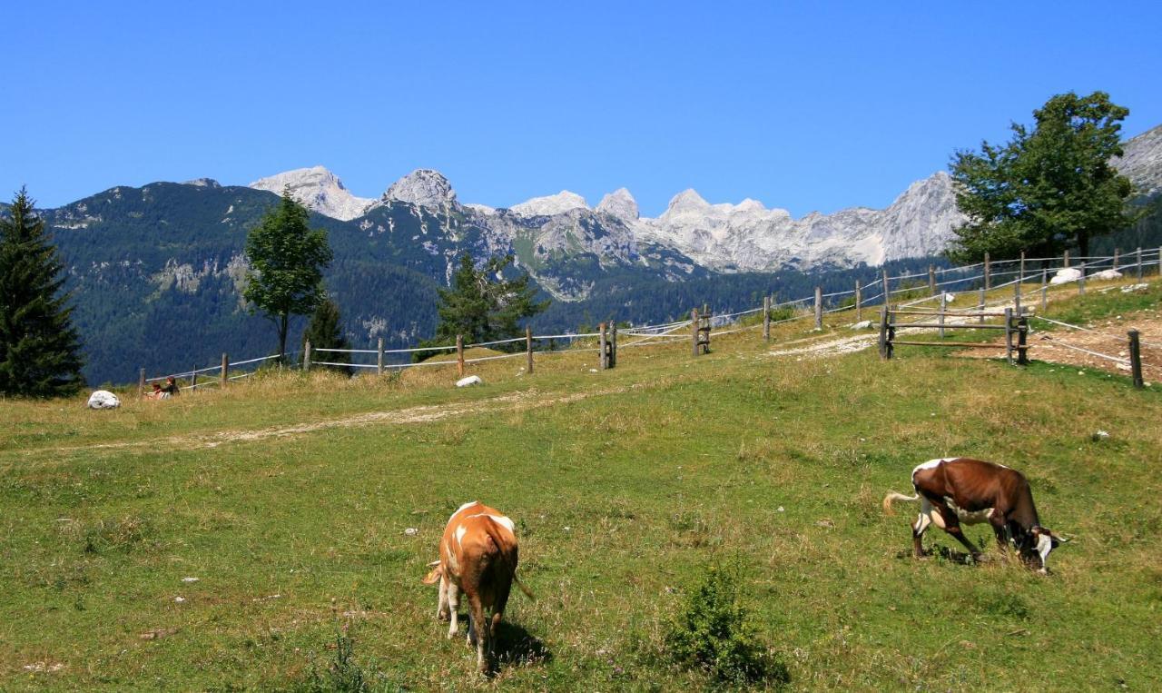 Apartmaji Alpski Cvet - Hisa Gorenc Bohinj Dış mekan fotoğraf