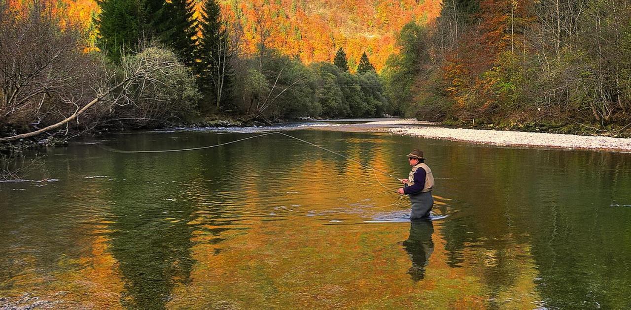 Apartmaji Alpski Cvet - Hisa Gorenc Bohinj Dış mekan fotoğraf