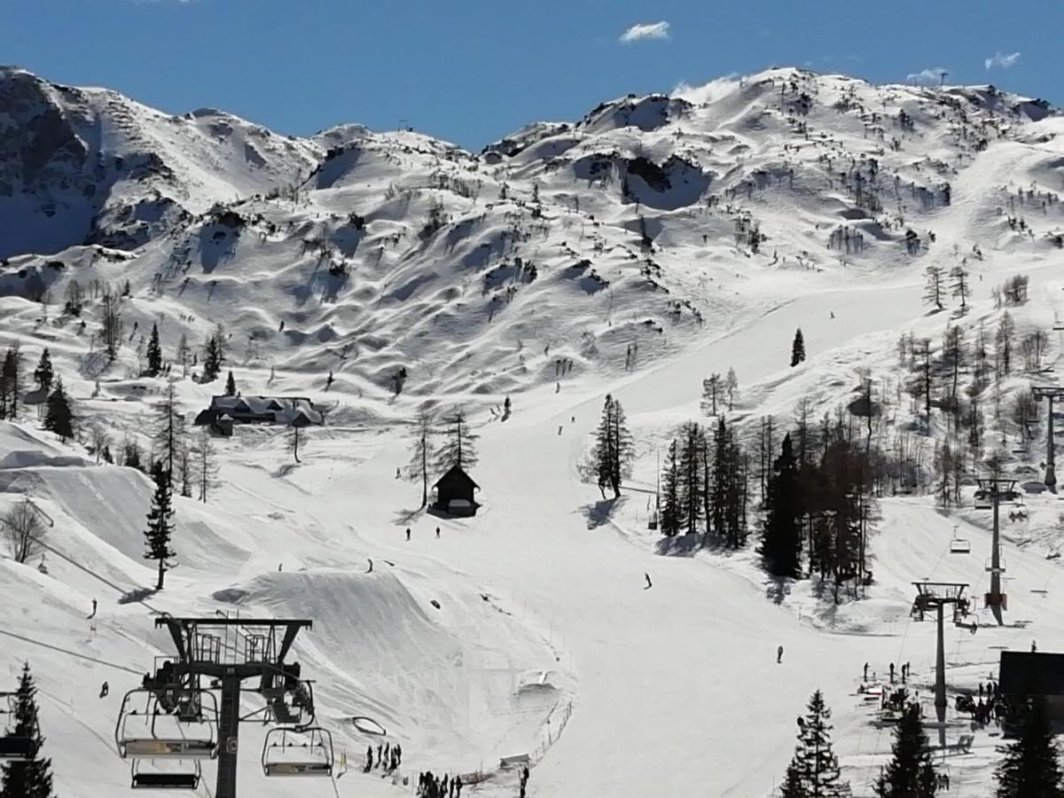 Apartmaji Alpski Cvet - Hisa Gorenc Bohinj Dış mekan fotoğraf