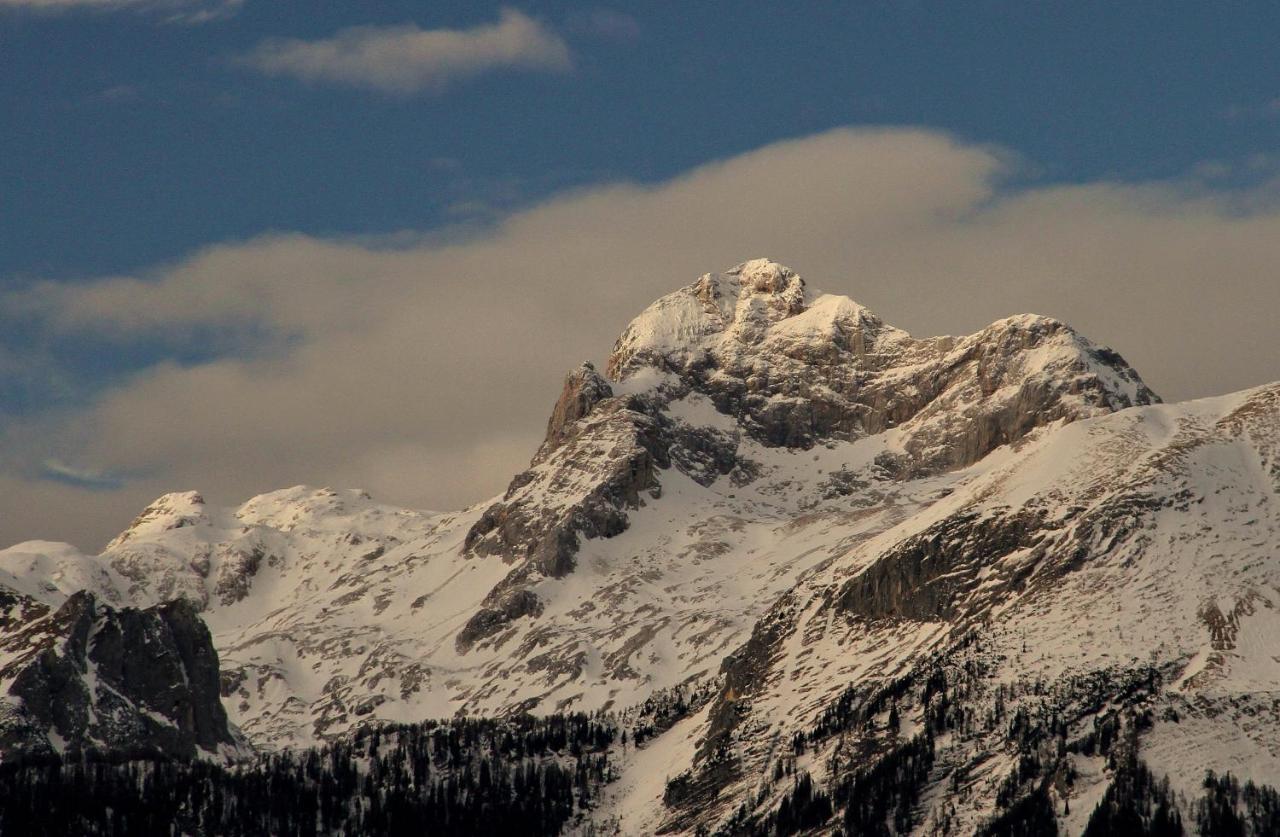 Apartmaji Alpski Cvet - Hisa Gorenc Bohinj Dış mekan fotoğraf